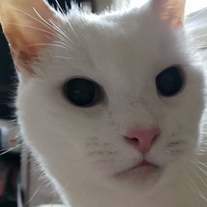 Meet your Posher, Patrick